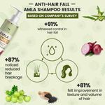 Buy TNW The Natural Wash Amla Shampoo | Anti-Hair Fall Shampoo for Controlling Breakage & Thinning | Anti-Hair Fall Shampoo with Natural Ingredients 200 ml - Purplle