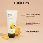 Buy The Face Shop Herbday 365 Masterblending Foaming Cleanser Lemon (100 ml) - Purplle
