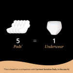 Buy Carmesi Disposable Period Panties (M-L) | 360° Protection for Super Heavy Flow | No Leakage, No Rashes, No Discomfort | All Night Protection | Ultra Absorbent Core | 10 Pcs - Purplle
