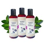 Buy Richfeel Gentle Face Cleanser for Dry to Normal, Sensitive Skin | Hydrating Formulation | Removes Dirt & Makeup | 100 ml (Pack of 3) - Purplle
