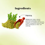 Buy Richfeel Heena Mehendi Powder| Natural Hair Color and Conditioning with the goodness of Amla, Shikakai & Brahmi | 100 g (Pack of 2) - Purplle