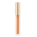 Buy Lakme 9to5 Powerplay Priming Concealer |Built in Primer |Hydrating | 24 Beige | 5.4 ml - Purplle