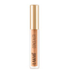 Buy Lakme 9to5 Powerplay Priming Concealer |Built in Primer |Hydrating | 24 Beige | 5.4 ml - Purplle