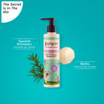 Buy Pilgrim Spanish Rosemary & Biotin Anti Hairfall Shampoo for Reducing Hair Loss & Breakage | Upto 95% stronger hairs | Suitable for all hair types | For Men & Women 200 ml - Purplle