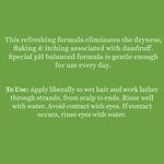 Buy BIOTIQUE Fresh Neem Anti DanDruff Shampoo & Conditioner (340 ml) - Purplle