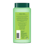 Buy BIOTIQUE Fresh Neem Anti DanDruff Shampoo & Conditioner (340 ml) - Purplle