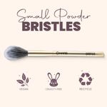 Buy MARS Artist's Arsenal Professional Small Powder Brush - Purplle