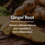 Buy Lotus Botanicals Ginger Root & Black Seed Dandruff-Control Hair Oil - 100 ml - Purplle