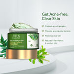 Buy Lotus Botanicals Neem, Tulsi & Salicylic Acid Anti-Acne Purifying Face Gel - 50 gm - Purplle