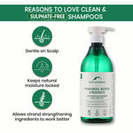 Buy Alps Goodness Hydrate & Cleanse Duo with 100% Natural Coconut oil (100 ml)& Anti hairfall shampoo with Fenugreek, Biotin & Redensyl (500 ml) - Purplle