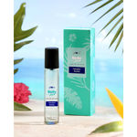 Buy Plum Everyday Face & Body Essentials Kit : Green Tea Face Wash (100 ml) + Green Tea Moisturizer (50ml) +Hawaiian Rumba Shower Gel (240 ml) + Hawaiian Rumba Eau De Parfum (15ml) - Purplle