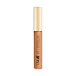 Buy Lakme Makeup+Skincare Vit C Superglow Concealer 30 Cinnamon 5.4ml - Purplle
