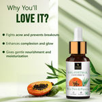 Buy Good Vibes Monsoon Essential Skincare Routine | Oil Control | Light Weight | Non- Sticky Combo Combo of 5 - Purplle