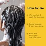 Buy Naturali Damage Repair Shampoo with Moringa Oil & Avocado | Repairs Hair Damage | Paraben and Sulphate Free Shampoo | Best Shampoo for Dry & Frizzy Hair | 370ml - Purplle