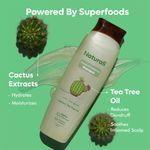 Buy Naturali Dandruff Defence Shampoo with Tea Tree Oil & Cactus Extracts | Prevents Dandruff | Paraben and Sulphate Free Shampoo | Anti Dandruff Shampoo | 200ml - Purplle