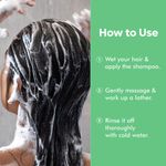 Buy Naturali Dandruff Defence Shampoo with Tea Tree Oil & Cactus Extracts | Prevents Dandruff | Paraben and Sulphate Free Shampoo | Anti Dandruff Shampoo | 200ml - Purplle