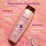 Buy Naturali Hairfall Arrest Shampoo with Red Onion & Bhringraj | Controls Hairfall | Paraben and Sulphate Free Shampoo | Hairfall Shampoo for Men & Women | 370ml - Purplle