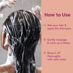 Buy Naturali Hairfall Arrest Shampoo with Red Onion & Bhringraj | Controls Hairfall | Paraben and Sulphate Free Shampoo | Hairfall Shampoo for Men & Women | 370ml - Purplle