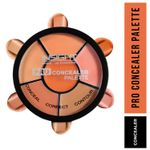 Buy Insight Makeup Fixer Spray 75 ml + Cosmetics Pro Concealer Palette - Purplle