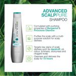 Buy Matrix Biolage Advanced Scalppure Anti-Dandruff Shampoo & Conditioner - Purplle