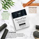 Buy TNW - The Natural Wash Handmade Charcoal Soap For Blackheads and Acne (100 g) - Purplle