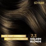 Buy Streax Hair Serum vitalised with Walnut Oil + Streax Hair Colour- Dark Brown (100 ml + 120 ml) - Purplle