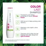 Buy Biolage Colorlast Color Protecting Shampoo & Conditioner Combo of 2 - Purplle