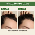 Buy Alps Goodness Healthy Hair Set (Pack of 2) with Rosemary Water Spray (100 ml) & Neem Wood Comb | 100% Natural Neem Comb | Hair Growth Expert | Bestselling Hair Spray - Purplle