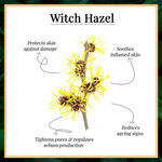 Buy Good Vibes Witch Hazel Soothing Toner | Hydrating, Soothing | No Parabens, No Alcohol, No Sulphates, No Mineral Oil, No Animal Testing (120 ml) - Purplle