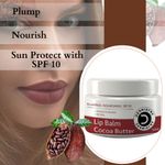 Buy Dermistry Plumping Nourishing SPF 10 for Glossy Tinted Lip Balm Cocoa Butter I Retinol I Coconut Oil I Shea Butter for Dry Dark Pigmented Chapped Lips Care Glowing I Hydrated Intensely Soft I Lightening Smooth Look I Men Women (15 ml) - Purplle