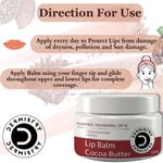 Buy Dermistry Plumping Nourishing SPF 10 for Glossy Tinted Lip Balm Cocoa Butter I Retinol I Coconut Oil I Shea Butter for Dry Dark Pigmented Chapped Lips Care Glowing I Hydrated Intensely Soft I Lightening Smooth Look I Men Women (15 ml) - Purplle