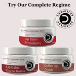 Buy Dermistry Plumping Nourishing SPF 10 for Glossy Tinted Lip Balm Cocoa Butter I Retinol I Coconut Oil I Shea Butter for Dry Dark Pigmented Chapped Lips Care Glowing I Hydrated Intensely Soft I Lightening Smooth Look I Men Women (15 ml) - Purplle