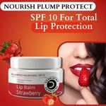 Buy Dermistry Plumping Nourishing SPF10 Glossy Tinted Lip Care Balm Strawberry for Dry Dark Pigmented Chapped Lips I Shea Butter I Retinol I Coconut Oil I Moisturization Smoothening I Glossy Finish Soft Pink Lips Women (15 ml) - Purplle