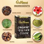 Buy Quikhenna Organic Gel Hair Color 2N Soft Black 120 gm - Purplle