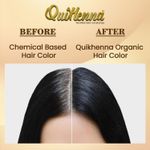 Buy Quikhenna Organic Gel Hair Color 2N Soft Black 120 gm - Purplle