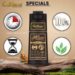 Buy Quikhenna Hair Color Shampoo 3N Dark Brown- 200 ml | Ammonia-Free | Quick & Effortless Grey Coverage | Salon-Like Hair Color At Home | Hair Dye Coloring For Men & Women | Instant Hair Colour Solution - Purplle