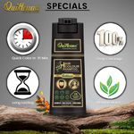 Buy Quikhenna Hair Color Shampoo 1N Natural Black- 200 Ml | Ammonia-Free | Quick & Effortless Grey Coverage | Salon-Like Hair Color At Home | Hair Dye Coloring For Men & Women | Instant Hair Colour Solution - Purplle