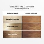 Buy Streax Hair Colour Highlight Kit | Blonde Hair Colour, Soft Blonde, 75 gm - Purplle