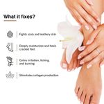 Buy Fixderma Lactic Acid, Urea, Glycerine Fidelia Foot Cream For Dry & Cracked Feet, Moisturizes and Soothes Feet, Heel Repair Paraben & Sulphate Free, All Skin Types 75 gm - Purplle