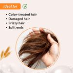 Buy Fixderma Fidelia Strengthening Conditioner with Shea Butter & Wheat Protein for Frizzy & Dry Hair | Conditioner for Women & Men | Hair Conditioner - 100 gm - Purplle