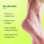 Buy Fixderma Foot cream, Foot care for diabetic, For Dry & Cracked Feet, Moisturizes & Soothes Feet, Heel Repair, For Calloused, or Chapped Skin, Paraben Free - 50 gm - Purplle