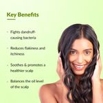 Buy Fixderma Kairfoll Anti Dandruff Shampoo for Oily Sensitive Scalp Prone to Dandruff & Folliculitis | Anti Dandruff Shampoo for Women & Men | Salicylic Acid for Hair Fall | Sulphate Free Shampoo - 100 ml - Purplle