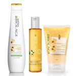 Buy Biolage Smoothproof Shampoo + Deep Treatment Hair Pack + Serum (200 ml + 98g + 100 ml) - Purplle