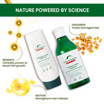 Buy Alps Goodness Intensive Hair Care Kit with Rosemary Water Spray (100 ml), 100% Pure Castor Oil (100 ml) & Anti-Hairfall Shampoo (290 ml) & Conditioner (200 ml) | Hair Growth Expert Spray | 100% Natural Arendee Oil | No.1 Anti-Hairfall Combo - Purplle