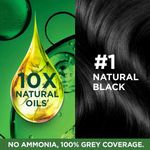 Buy Garnier Color Naturals Nourishing Permanent Hair Color - Natural Black 1 (70 ml + 60 g) - Purplle