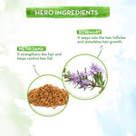 Buy Mamaearth Rosemary Anti-Hair Fall Shampoo with Rosemary & Methi Dana for Reducing Hair Loss & Breakage- 400 ml | Up to 94% Stronger Hair* | Up to 93% Less Hair Fall | For Men and Women - Purplle