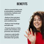 Buy Xo Curls 100% pure Organic Argan Oil, Cold-Pressed 30 ml - Purplle