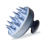 Buy Xo Curls Shampoo Brush - Blue 1 Pc - Purplle