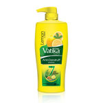 Buy Winter Hair Care Combo : Dabur Arnica Hair Oil 100 ml + Dabur Vatika Anti-Dandruff 640 ml | For Hair Growth, Strong & Thick Hair - Purplle