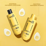 Buy Clensta Eggstreme Hair Repair Shampoo With Egg Protein, Biotin & Hydrolyzed Silk Protein | Promotes Strengthening & Repair Damaged Hair | Sulfate & Paraben Free | For Men & Women - 650 ml - Purplle